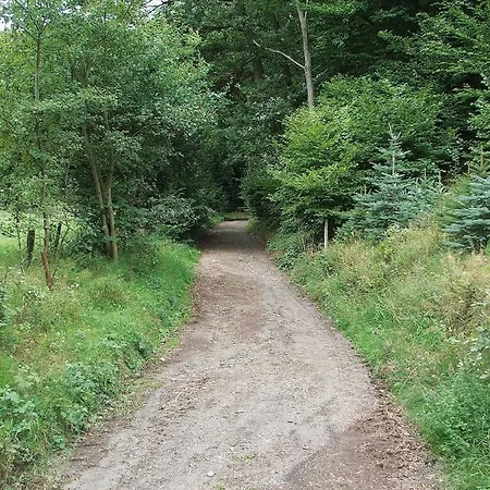 Ferienwohnungen Vulkaneifel Nickenich Extérieur photo